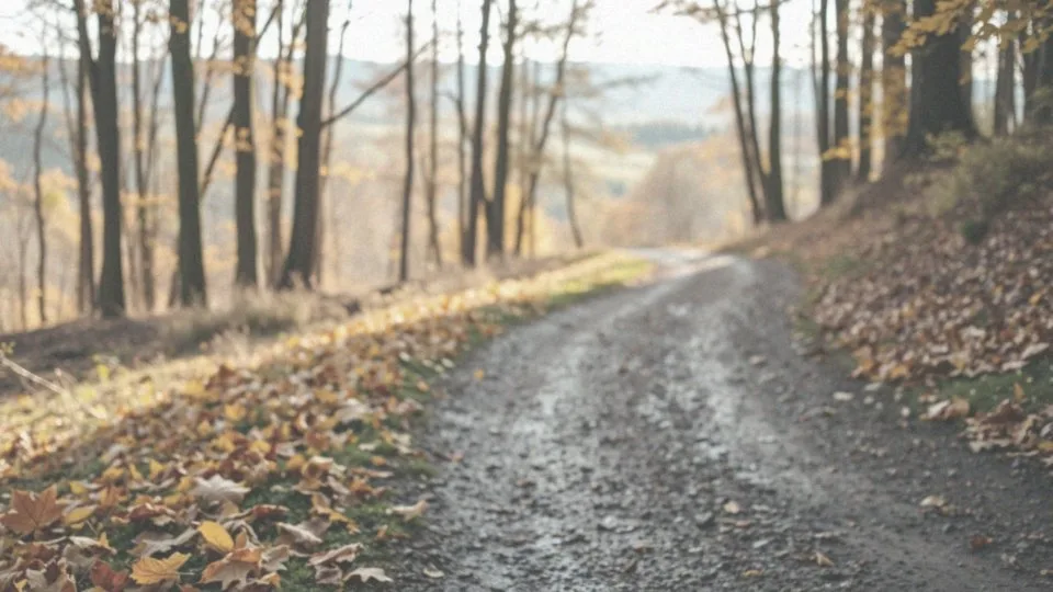 Co to są marszobiegi i dlaczego są ważne dla początkujących?