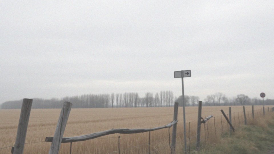 Jakie są zagrożenia związane z silnym wiatrem?