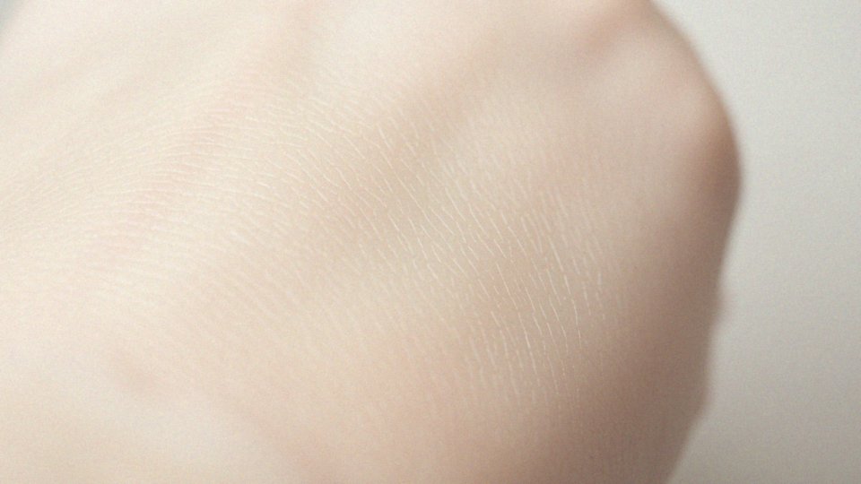 Co to są pory i jaką funkcję pełnią?