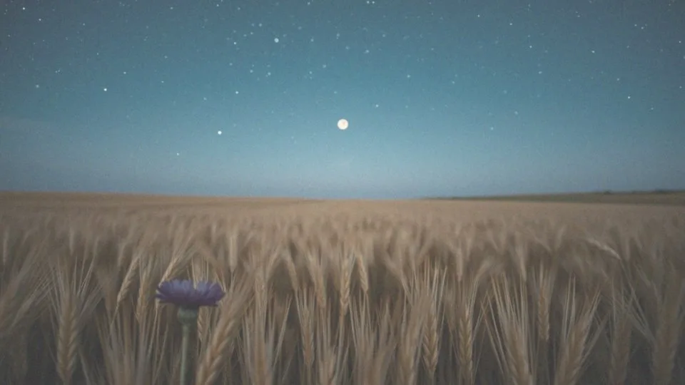 Kim jest Mały Książę i jaką rolę pełni w powieści?