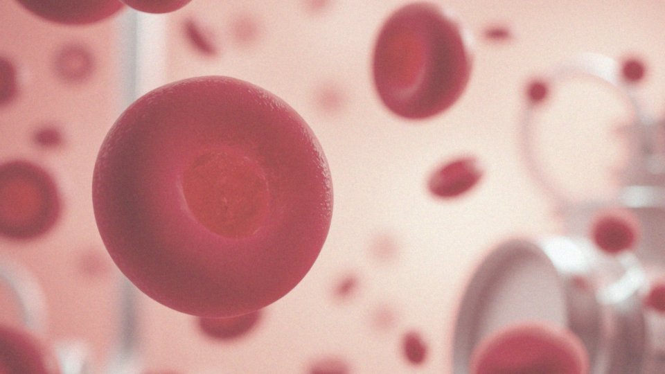 Jak witamina B6 wspiera produkcję hemoglobiny?