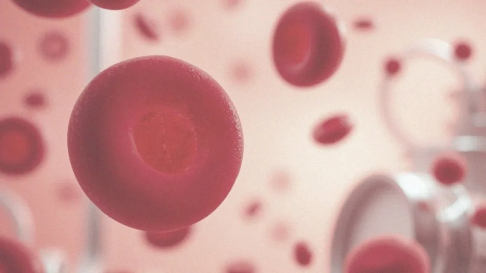 Jak witamina B6 wspiera produkcję hemoglobiny?