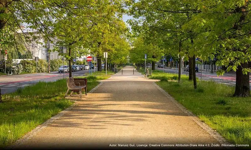 Aleja Ossolińskich w Bydgoszczy