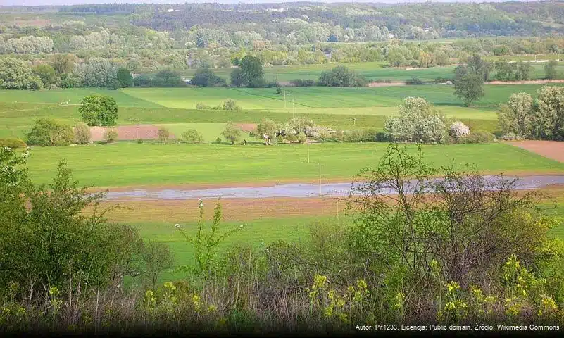 Fordoński Przełom Wisły