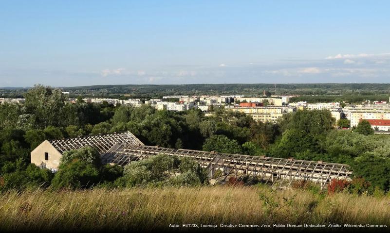 Miedzyń (Fordon)