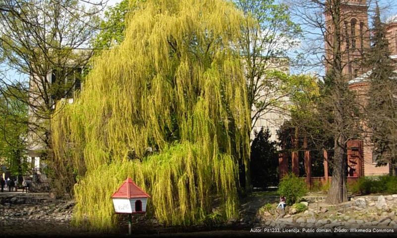 Park Kazimierza Wielkiego w Bydgoszczy