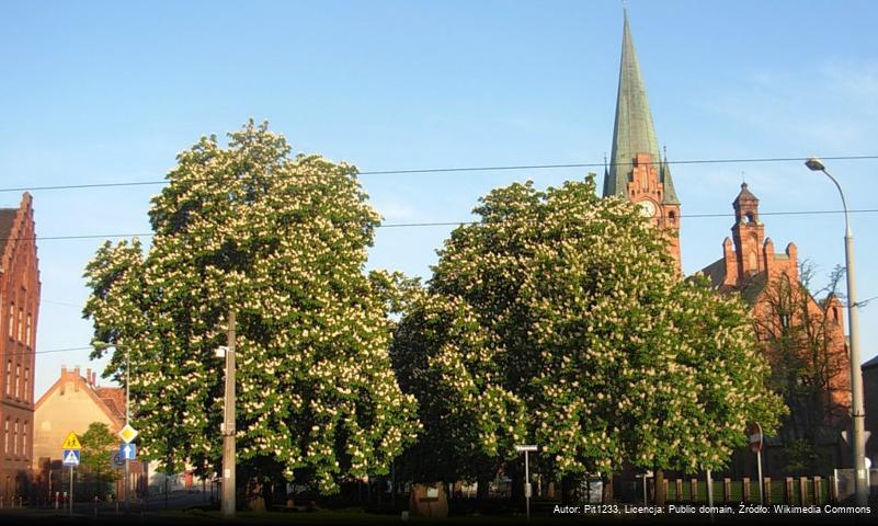 Plac Kościeleckich