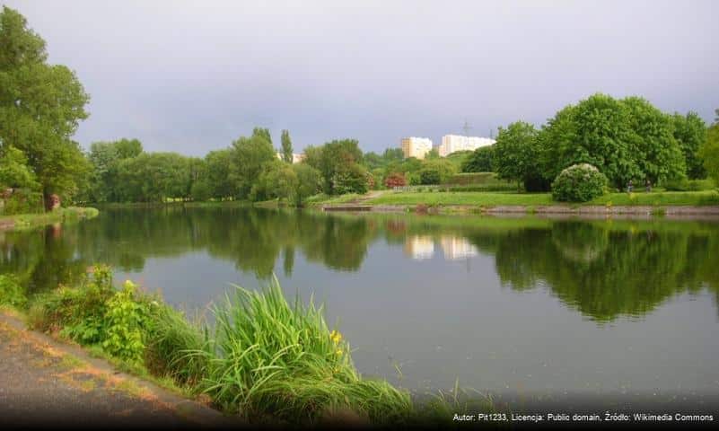 Planty nad Brdą