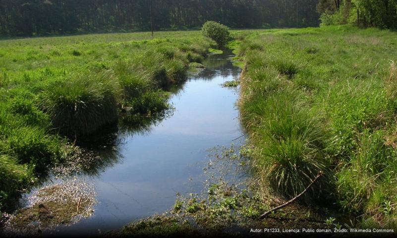 Struga Młyńska (dopływ Kanału Bydgoskiego)