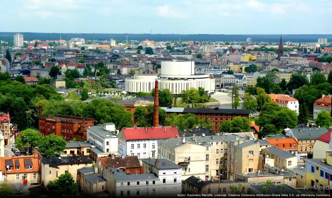Dąb dla Króla Kazimierza Wielkiego – Uroczystości w Bydgoszczy