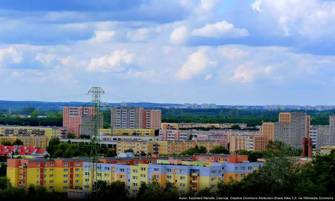 Jak odpowiedzialnie dokarmiać ptaki zimą w Bydgoszczy?