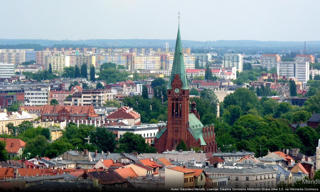 Jak odpowiedzialnie pomagać dzikim zwierzętom w Bydgoszczy?