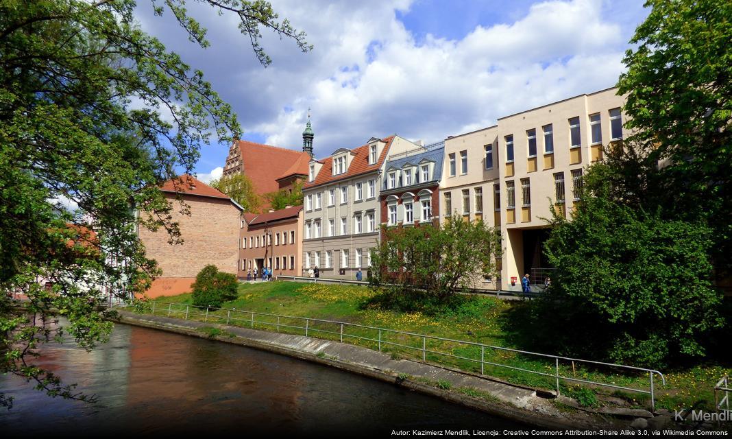 Bydgoszcz w zielonym świetle dla praw człowieka