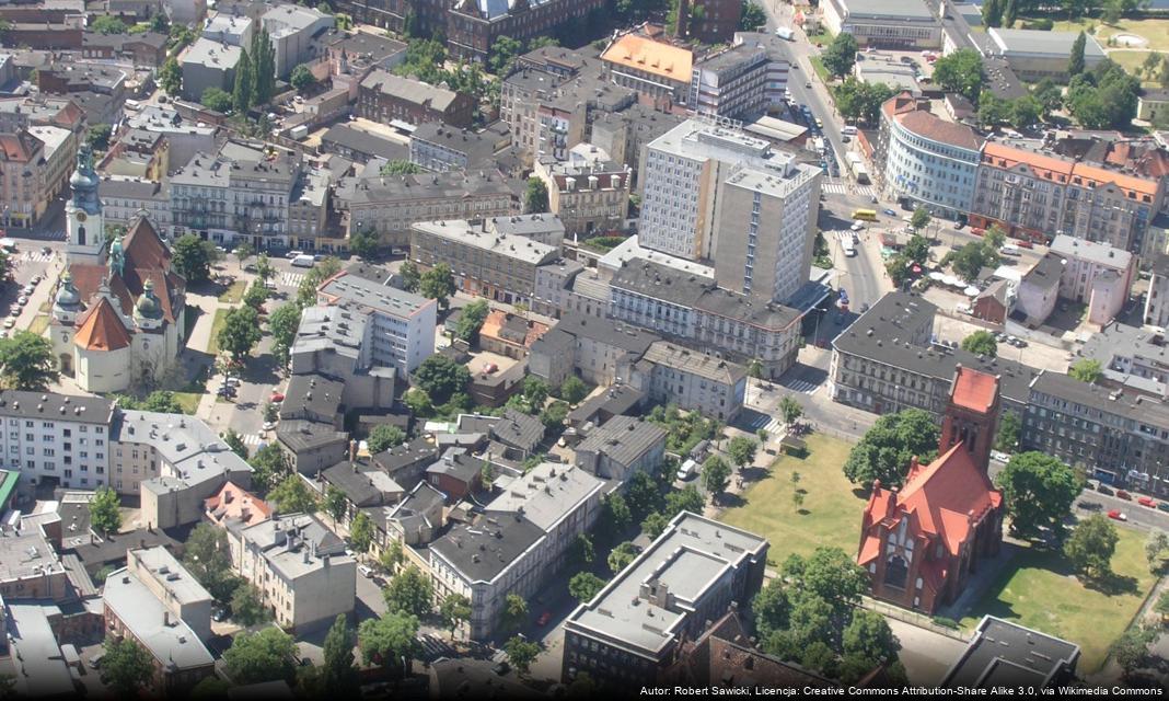 Sezon grzybowy w pełni! Zbiórki nad Brdą i w okolicach Bydgoszczy