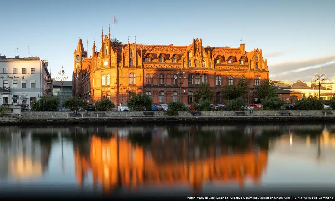 Bydgoskie schronisko poszukuje domów tymczasowych dla uratowanych psów