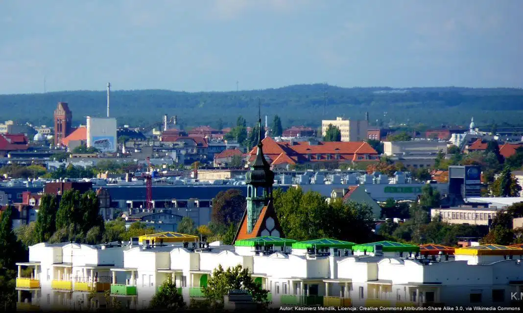 Wsparcie dla ptaków wodnych w Bydgoszczy podczas zimowych mrozów