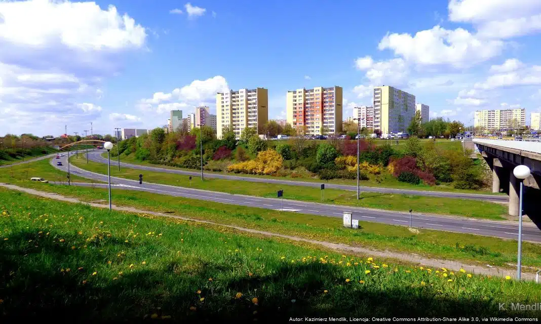 Bydgoszcz osiąga sukcesy w kompetencjach cyfrowych