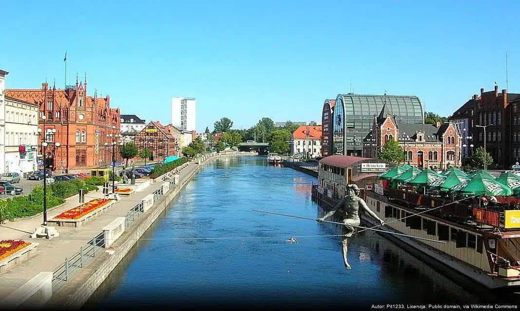 Wiosenne nasadzenia w Bydgoszczy – miasto wzbogaca się o nowe rośliny