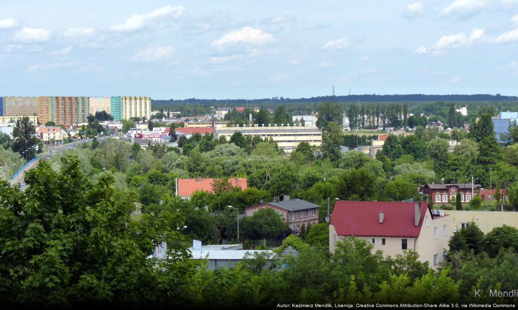 Nowa aranżacja zieleni przed gmachami Copernicanum