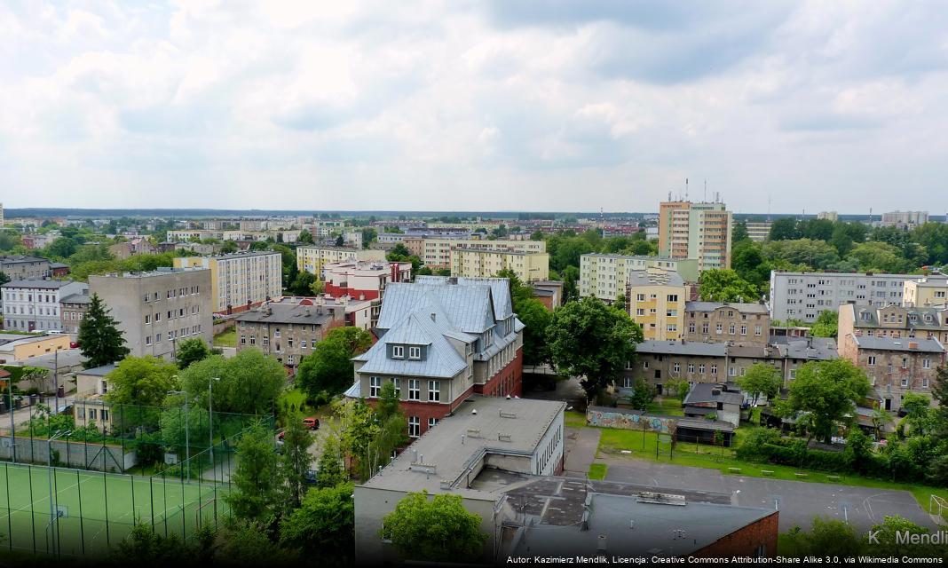 Badania klimatu rowerowego w Bydgoszczy – czas na ankiety