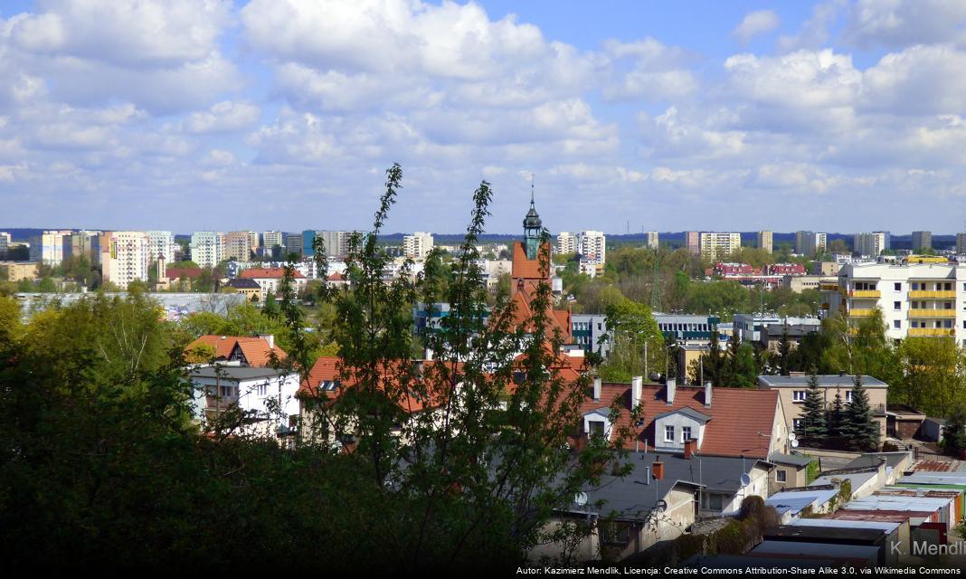 Nowa mieszkanka bydgoskiego zoo – żubrzyca Pomyślęcinka