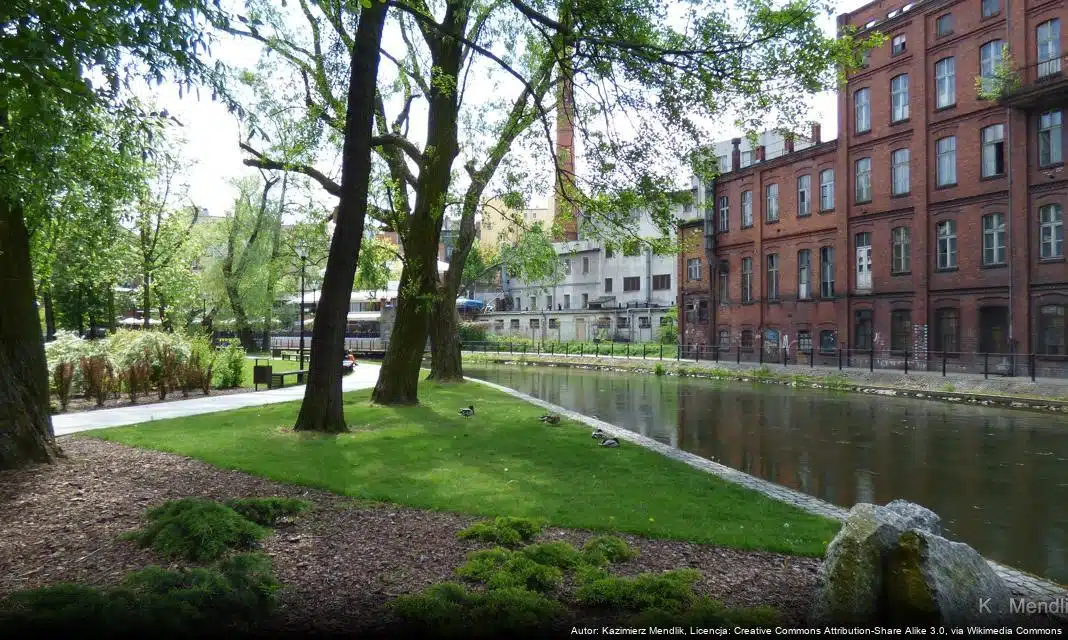 Bydgoskie Warsztaty Maturalne – wsparcie dla przyszłych maturzystów