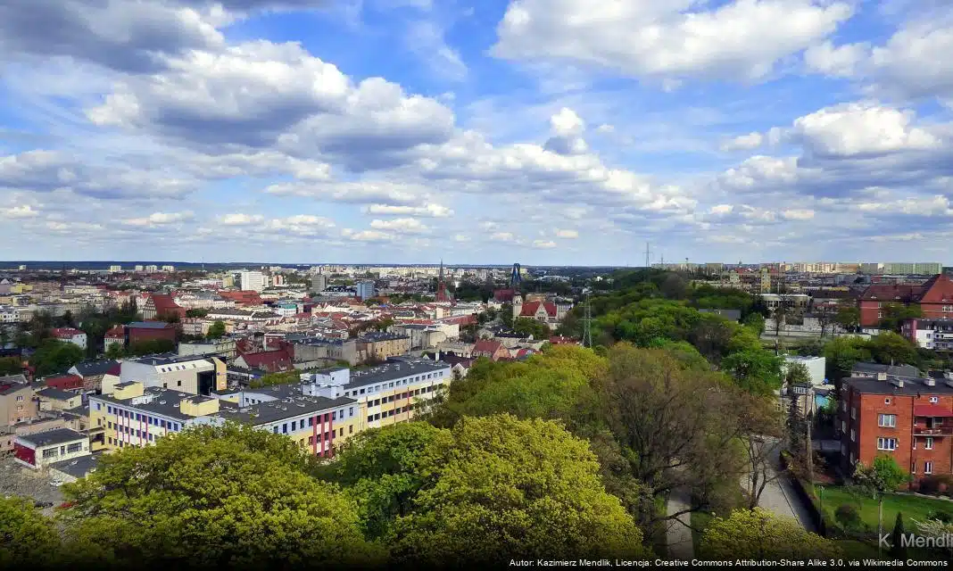 Rewitalizacja Rybiego Rynku postępuje – dorodne lipy i platany zdobią przestrzeń