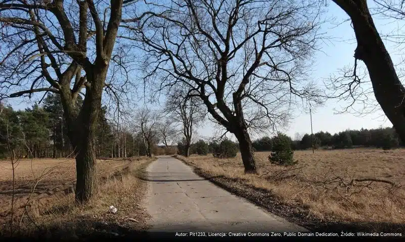 Wypaleniska (Bydgoszcz)